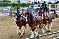 Beausejour, MB Rodeo 2023